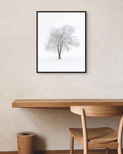 Triptych of Suspended Time