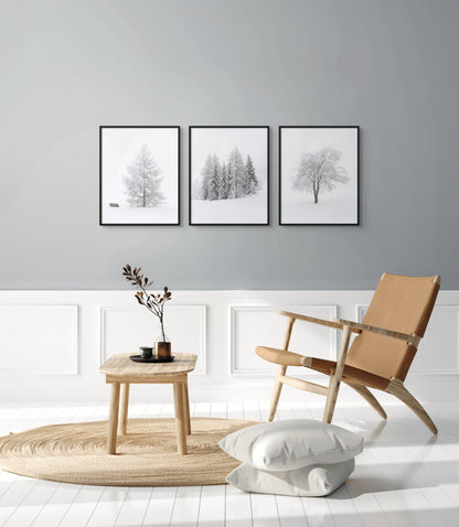 Triptych of Suspended Time