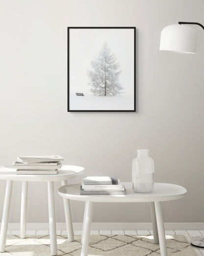 Triptych of Suspended Time